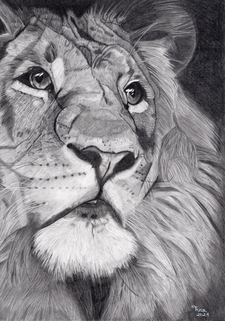 Schwarz-weiße Bleistiftzeichnung eines Löwenkopfs mit detaillierter Mähne und ausdrucksstarken Augen.