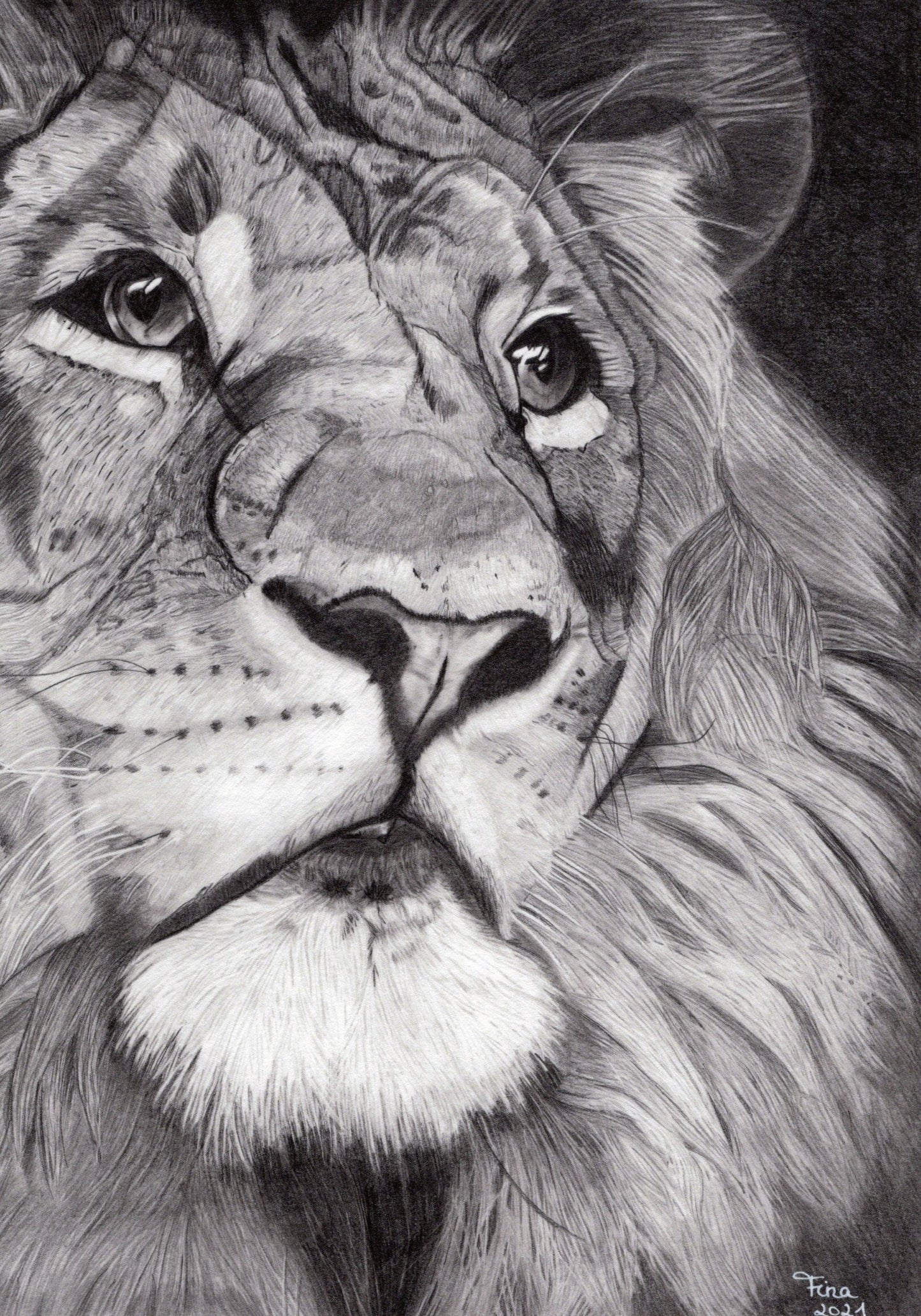 A4 Druck: Detailreiche Bleistiftzeichnung eines Löwenkopfes mit intensiven Schattierungen, feine Linienführung, monochrome Farbgebung.