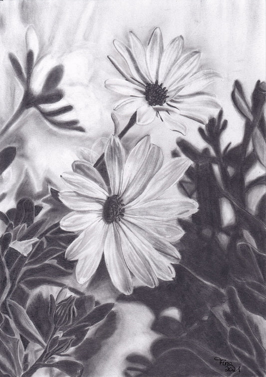 Schwarz-weiße Bleistiftzeichnung von zwei Blüten mit vielen Blättern im Hintergrund.