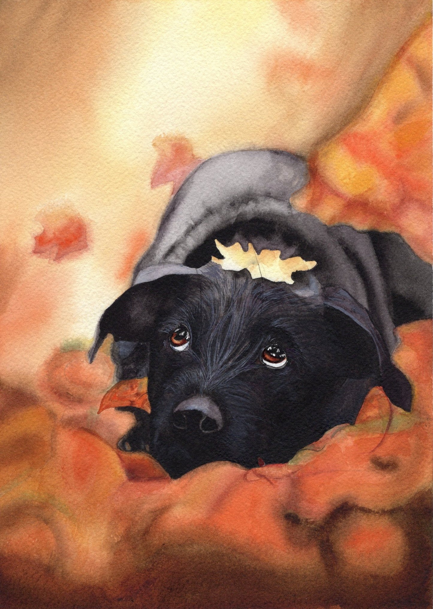 Aquarellgemälde eines schwarzen Hundes, der in herbstlichem Laub liegt, mit einem Blatt auf dem Kopf.