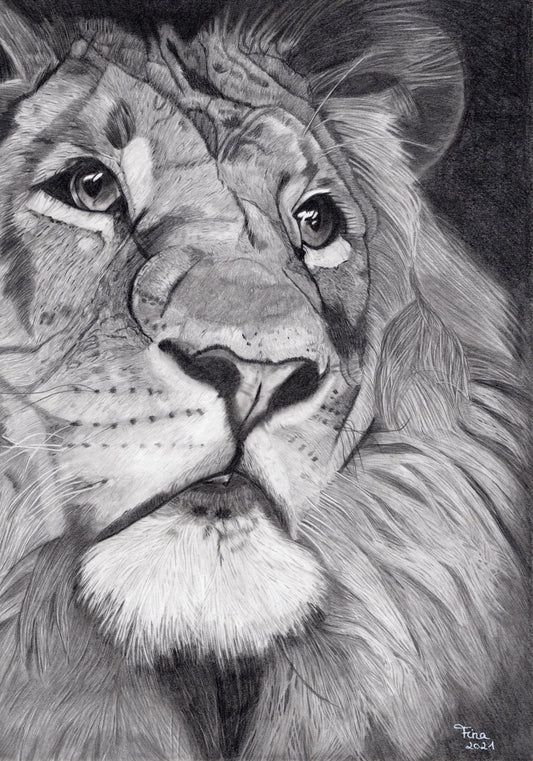 Schwarz-weiße Bleistiftzeichnung eines Löwenkopfs mit detaillierter Mähne und ausdrucksstarken Augen.