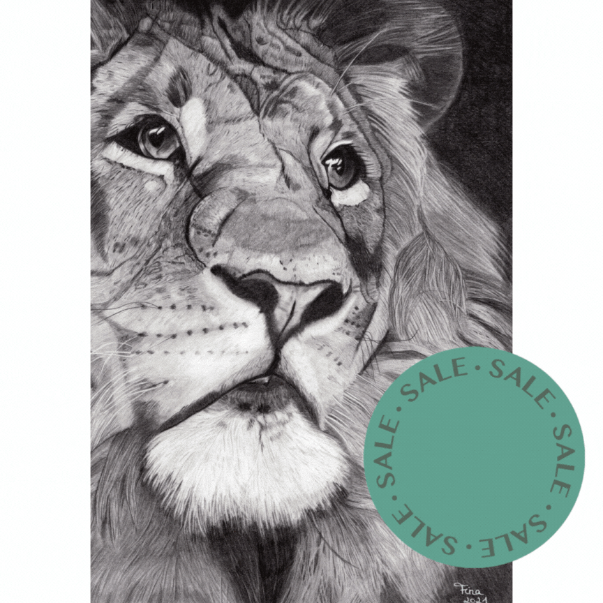 A4 Druck: Detailreiche Bleistiftzeichnung eines Löwenkopfes mit intensiven Schattierungen, feine Linienführung, monochrome Farbgebung.