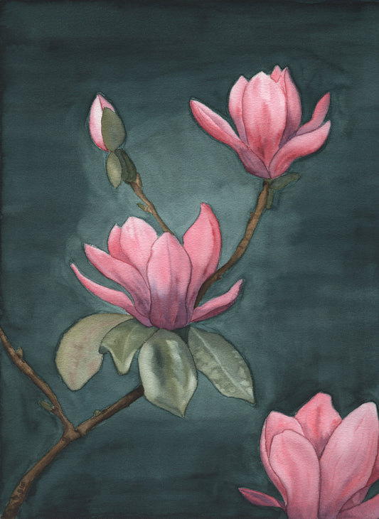 Aquarellgemälde mit drei rosa Magnolienblüten an braunen Zweigen vor dunklem Hintergrund.
