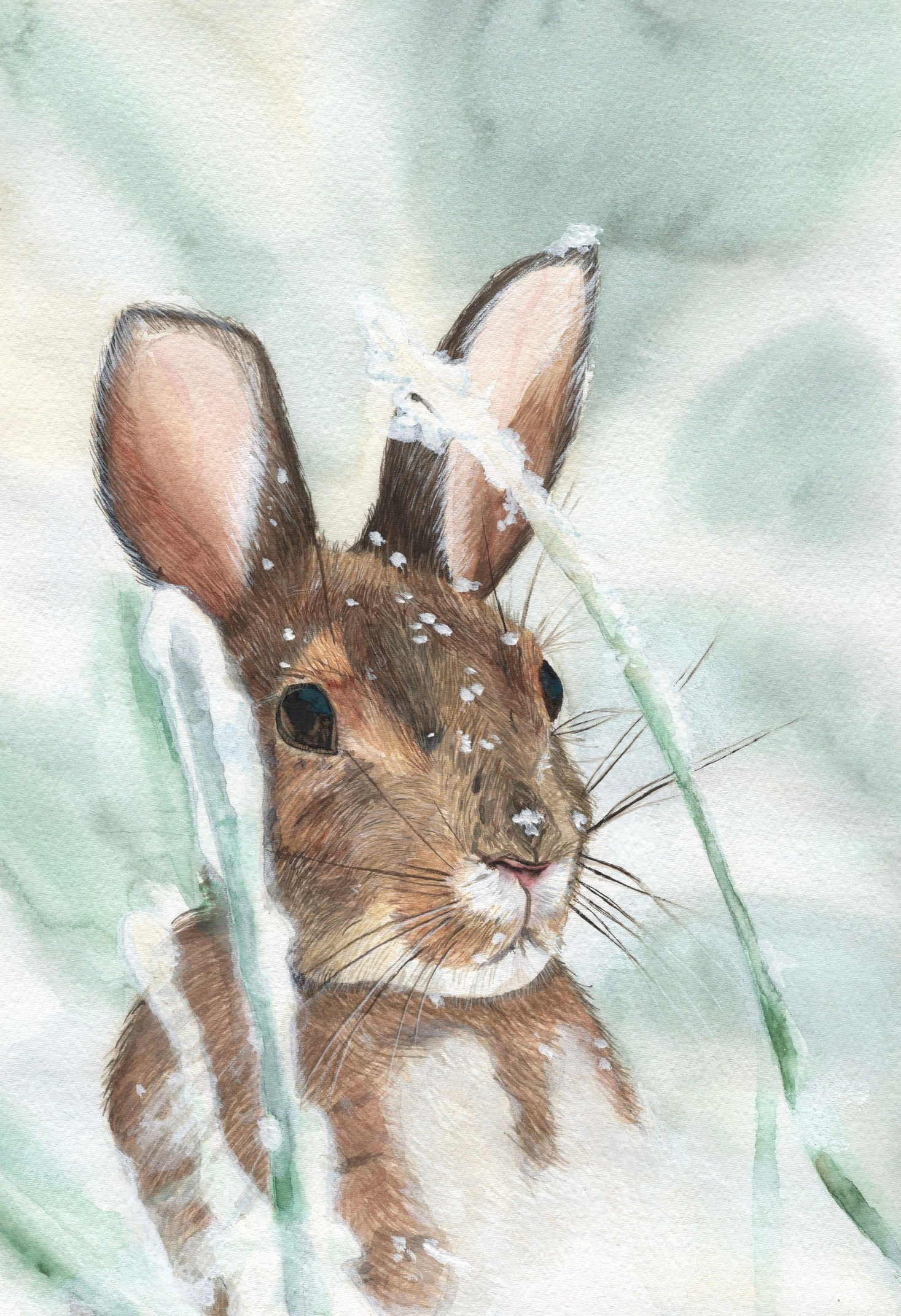 Aquarellgemälde eines Schneehasen mit braunem Fell, der von Grashalmen umgeben ist.