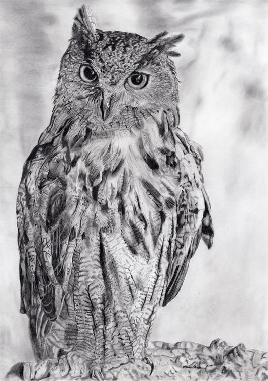Schwarz-weiße Bleistiftzeichnung einer Eule mit detailliertem Gefieder und aufmerksamem Blick, frontal dargestellt.